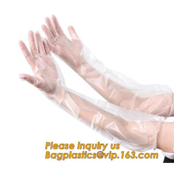 cornstarch made biodegradable compostable disposable plastic pe food handliDisposable Transparent HDPE PE Plastic Gloves